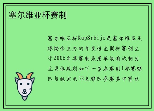 塞尔维亚杯赛制